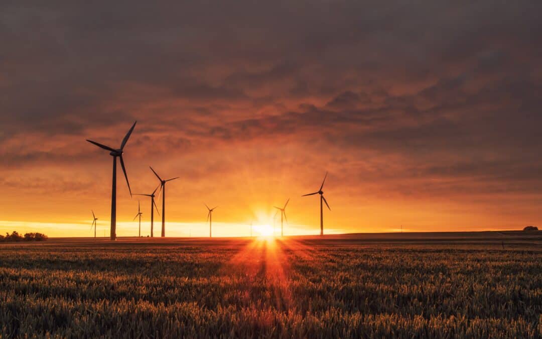 Renewable Energy Company Benefits from Local Government Intel